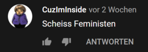 Hier wäre ein Kommentar zum Video: "Scheiss Feministen"